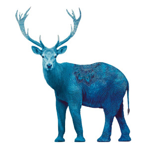 Blue Deer-Elephant Vinyl Car Decal Sticker – Waterproof & UV-Resistant 