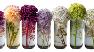 Herbal Test Tubes Vinyl Car Decal Sticker – Waterproof & UV-Resistant Herbal Test Tubes Vinyl Car Decal Sticker – Waterproof & UV-Resistant
