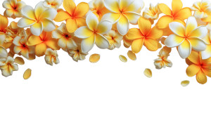 Frangipani Flower Garland Vinyl Car Decal Sticker – Waterproof & UV-Resistant Frangipani Flower Garland Vinyl Car Decal Sticker – Waterproof & UV-Resistant