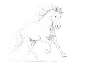 Line Art Horse Vinyl Car Decal Sticker – Waterproof & UV-Resistant 