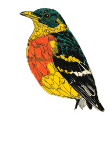 A Bird V2 Vinyl Car Decal Sticker – Waterproof & UV-Resistant A Bird V2 Vinyl Car Decal Sticker – Waterproof & UV-Resistant