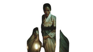 Defiant Noblewoman Vinyl Car Decal Sticker – Waterproof & UV-Resistant  Defiant Noblewoman Vinyl Car Decal Sticker – Waterproof & UV-Resistant