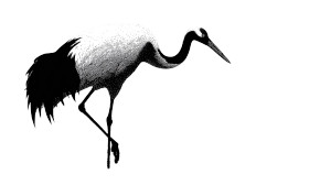 Red-Crowned Crane Print Vinyl Car Decal Sticker – Waterproof & UV-Resistant 