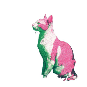 Pink Green Cat Vinyl Car Decal Sticker – Waterproof & UV-Resistant 