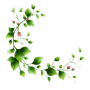 Stylized Green Vine Vinyl Car Decal Sticker – Waterproof & UV-Resistant Stylized Green Vine Vinyl Car Decal Sticker – Waterproof & UV-Resistant