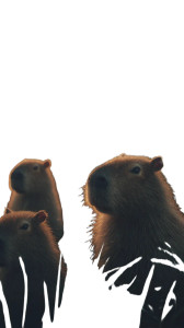 Capybaras And Dinosaur Vinyl Car Decal Sticker – Waterproof & UV-Resistant 