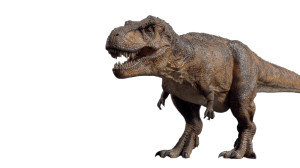 T-Rex V2 Vinyl Car Decal Sticker – Waterproof & UV-Resistant T-Rex V2 Vinyl Car Decal Sticker – Waterproof & UV-Resistant