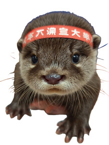 Cute Otter Pup Vinyl Car Decal Sticker – Waterproof & UV-Resistant 