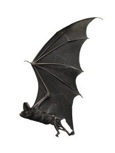 Bat Wings V3 Vinyl Car Decal Sticker – Waterproof & UV-Resistant 