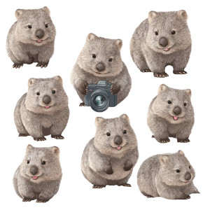 Australian Wombat Expressions Vinyl Car Decal Sticker – Waterproof & UV-Resistant 