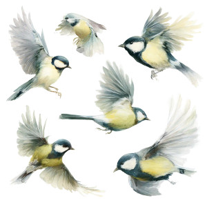 Birds In Flight V3 Vinyl Car Decal Sticker – Waterproof & UV-Resistant Birds In Flight V3 Vinyl Car Decal Sticker – Waterproof & UV-Resistant