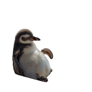 Penguin On Chair Vinyl Car Decal Sticker – Waterproof & UV-Resistant 
