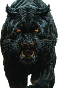 Panther Vinyl Car Decal Sticker – Waterproof & UV-Resistant 