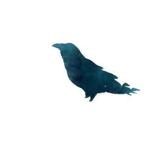 Mystical Raven Shadow Vinyl Car Decal Sticker – Waterproof & UV-Resistant 