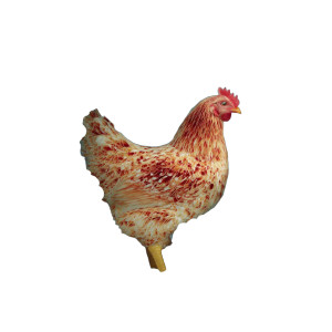 Egg Or Chicken Vinyl Car Decal Sticker – Waterproof & UV-Resistant 