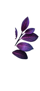 Purple Leaves Macro Vinyl Car Decal Sticker – Waterproof & UV-Resistant 