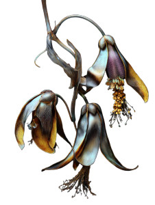 Fictional Botanical Plant Vinyl Car Decal Sticker – Waterproof & UV-Resistant 