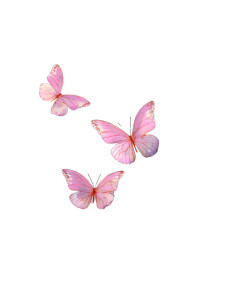 Pink Butterflies Flying V2 Vinyl Car Decal Sticker – Waterproof & UV-Resistant Pink Butterflies Flying V2 Vinyl Car Decal Sticker – Waterproof & UV-Resistant