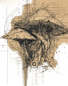 Steampunk Mushroom Anatomy Vinyl Car Decal Sticker – Waterproof & UV-Resistant 