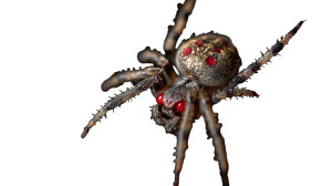 Hungry Red-Eyed Spider Vinyl Car Decal Sticker – Waterproof & UV-Resistant 