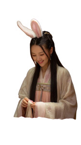 Rabbit In Hanfu Vinyl Car Decal Sticker – Waterproof & UV-Resistant 