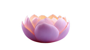 Minimalistic Pink Flower Vinyl Car Decal Sticker – Waterproof & UV-Resistant Minimalistic Pink Flower Vinyl Car Decal Sticker – Waterproof & UV-Resistant