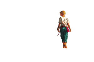 Dreamfield Wanderer Vinyl Car Decal Sticker – Waterproof & UV-Resistant 