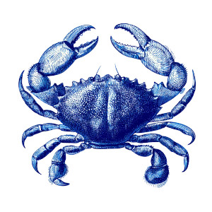 Vintage Blue Crab Vinyl Car Decal Sticker – Waterproof & UV-Resistant 