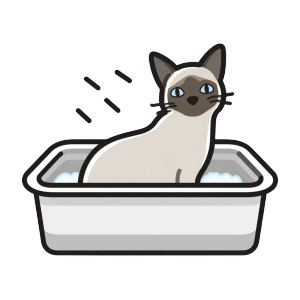 Stinky Siamese Cat Vinyl Car Decal Sticker – Waterproof & UV-Resistant 