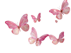 Pink Butterflies Water Vinyl Car Decal Sticker – Waterproof & UV-Resistant 