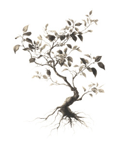 Delicate Tree Branch Vinyl Car Decal Sticker – Waterproof & UV-Resistant 