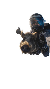 Skydiving Wild Boar Vinyl Car Decal Sticker – Waterproof & UV-Resistant Skydiving Wild Boar Vinyl Car Decal Sticker – Waterproof & UV-Resistant