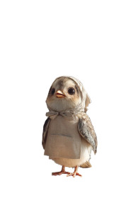 Surreal Bird Milkmaid Vinyl Car Decal Sticker – Waterproof & UV-Resistant 