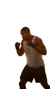 Dynamic Boxer Training V2 Vinyl Car Decal Sticker – Waterproof & UV-Resistant 