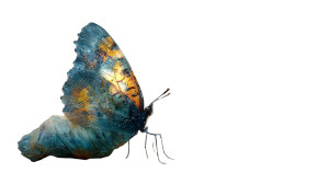 Transformation Glow Vinyl Car Decal Sticker – Waterproof & UV-Resistant 