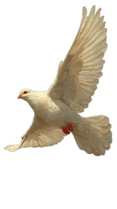 Majestic White Bird Vinyl Car Decal Sticker – Waterproof & UV-Resistant 