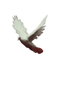 White Dove Escape Vinyl Car Decal Sticker – Waterproof & UV-Resistant 