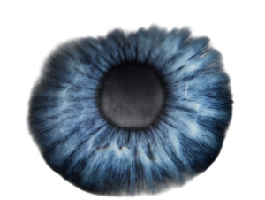 Macro Eyeball Vinyl Car Decal Sticker – Waterproof & UV-Resistant Macro Eyeball Vinyl Car Decal Sticker – Waterproof & UV-Resistant