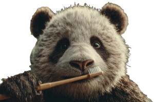 Panda With Toothbrush Vinyl Car Decal Sticker – Waterproof & UV-Resistant 