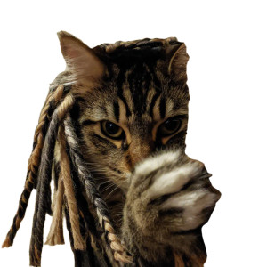 Dreaded Cat Vinyl Car Decal Sticker – Waterproof & UV-Resistant 