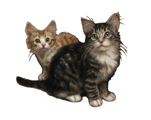 Playing Kittens V3 Vinyl Car Decal Sticker – Waterproof & UV-Resistant 