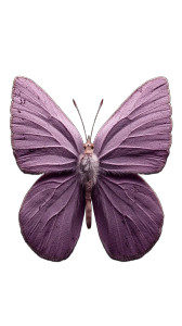 Violet Butterfly Vinyl Car Decal Sticker – Waterproof & UV-Resistant 