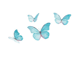 Blue Butterflies Flying V2 Vinyl Car Decal Sticker – Waterproof & UV-Resistant 