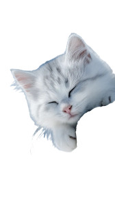 Sleeping Cat V13 Vinyl Car Decal Sticker – Waterproof & UV-Resistant 