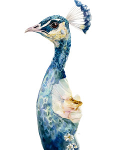 Peacock Portrait Vinyl Car Decal Sticker – Waterproof & UV-Resistant Peacock Portrait Vinyl Car Decal Sticker – Waterproof & UV-Resistant