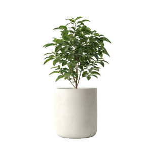 Minimalist Plant Pot Vinyl Car Decal Sticker – Waterproof & UV-Resistant Minimalist Plant Pot Vinyl Car Decal Sticker – Waterproof & UV-Resistant