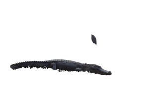 Alligator And Heron Vinyl Car Decal Sticker – Waterproof & UV-Resistant 