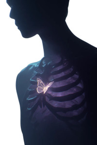 Glowing Butterfly Silhouette Vinyl Car Decal Sticker – Waterproof & UV-Resistant 