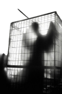 Dark Winged Silhouette Vinyl Car Decal Sticker – Waterproof & UV-Resistant 