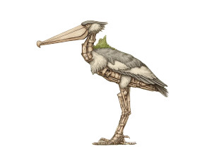 Augmented Shoebill Human Vinyl Car Decal Sticker – Waterproof & UV-Resistant Augmented Shoebill Human Vinyl Car Decal Sticker – Waterproof & UV-Resistant